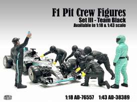 Figures diorama - Team Black #3 2020 silver - 1:43 - American Diorama - 38389 - AD38389 | Toms Modelautos