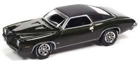 Pontiac  - Grand Am 1973 golden olive - 1:64 - Johnny Lightning - SP163B - JLSP163B | Toms Modelautos