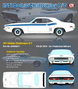 Dodge  - Challenger R/T 1971 white/blue - 1:18 - Acme Diecast - 1806027 - acme1806027 | Toms Modelautos