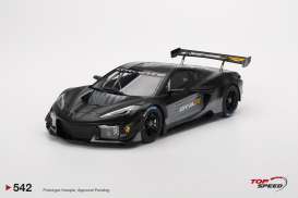 Chevrolet  - corvette Z06 2023 black - 1:18 - Top Speed - TS0542 - TS0542 | Toms Modelautos