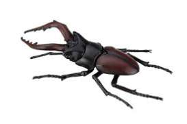   - Stag Beetle  - Fujimi - 171241 - fuji171241 | Toms Modelautos