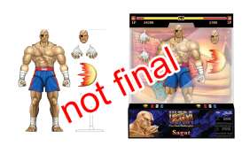 Figures  - Sagat various - Jada Toys - 253252050 - jada253252050 | Toms Modelautos