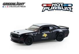 Dodge  - Challenger SRT Hellcat 2020  - 1:64 - GreenLight - 43050E - gl43050E | Toms Modelautos